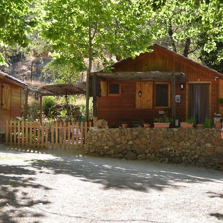 Cabanas Camping Sierra De Penascosa Bagian luar foto